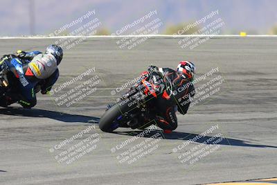 media/Feb-04-2024-SoCal Trackdays (Sun) [[91d6515b1d]]/4-Bowl Backside (11am)/
